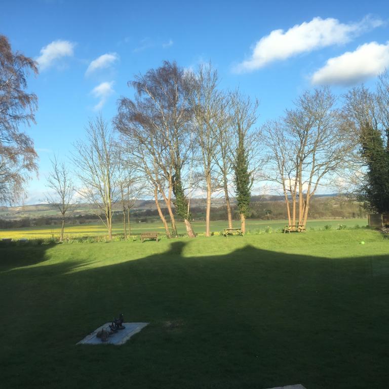 Downsview Hotell Ashford  Eksteriør bilde
